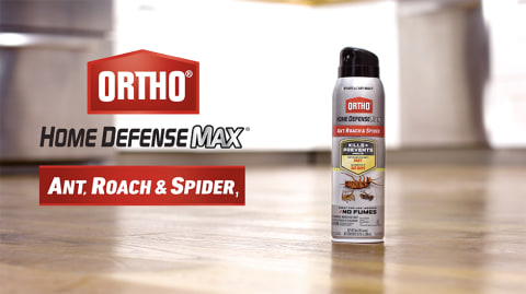 thumbnail video image 2 of Ortho Home Defense Max Ant, Roach & Spider1 14 oz., 2 of 12