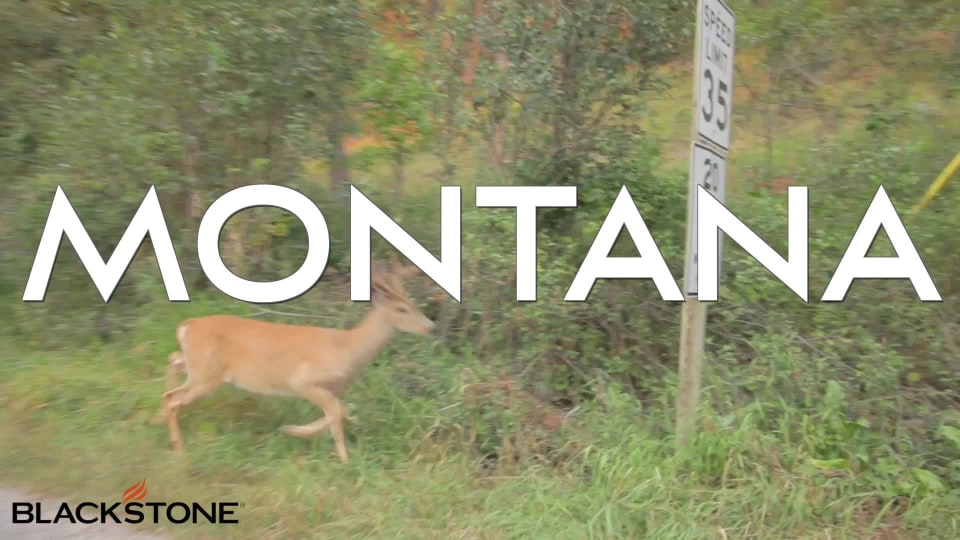 Blackstone Stainless Steel Adjustable Warming Rack