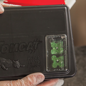 Tomcat® Secure-Kill Rat Trap