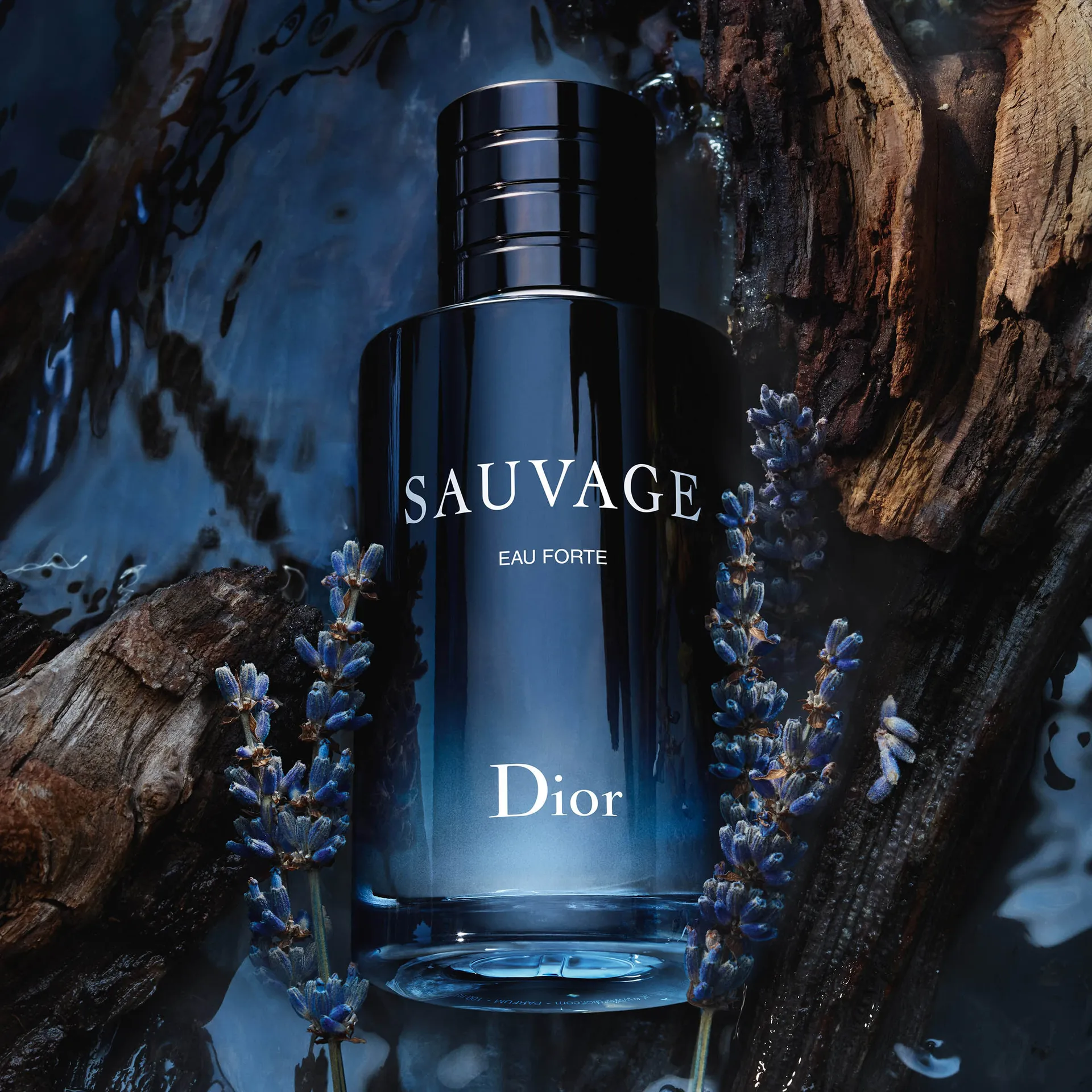 Sauvage dior cologne dillards online