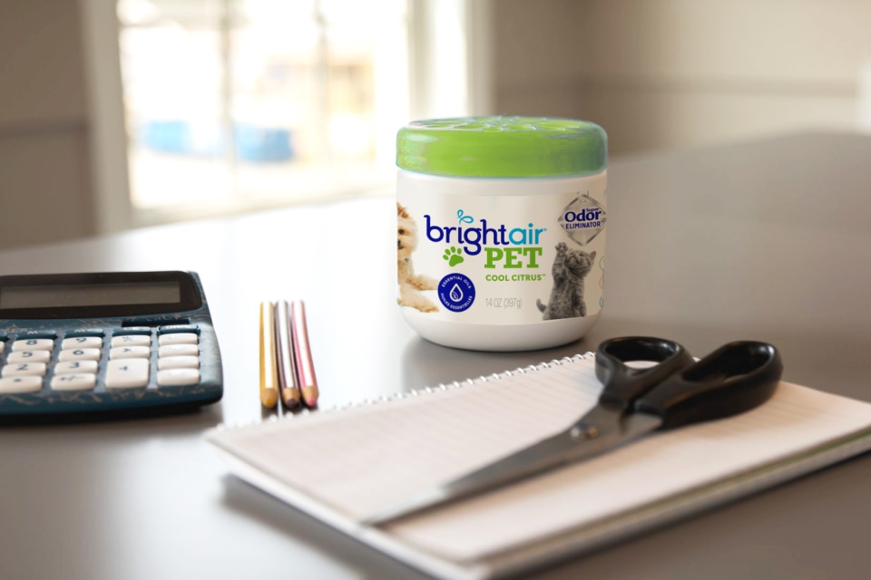 Bright clearance air pet