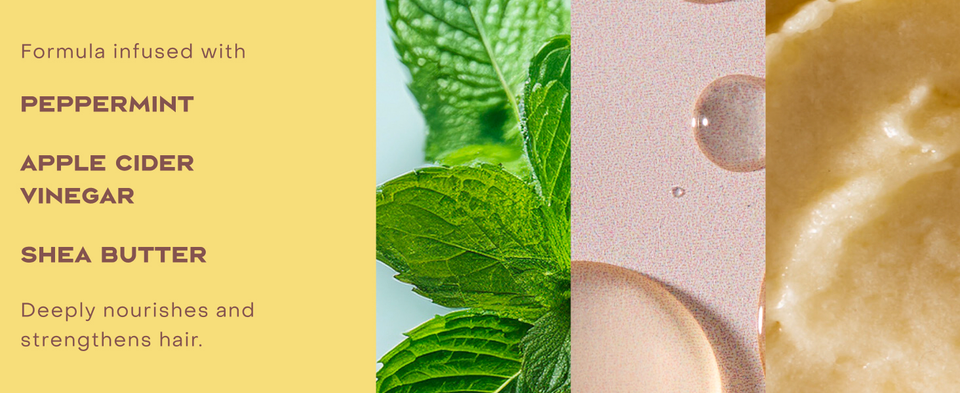 Image of formula infusion ingredients: peppermint, apple cider vinegar &amp; shea butter.