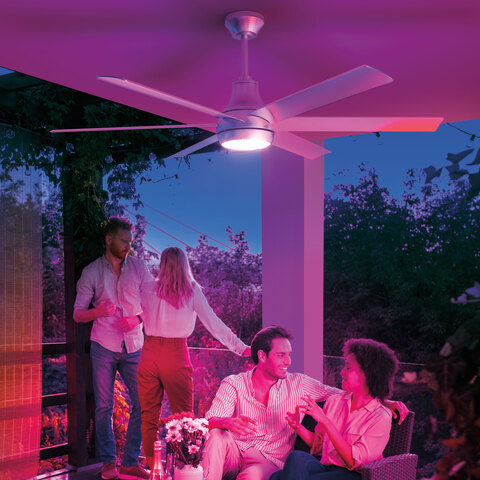 Dimmable control of ceiling fan light during a backyard party