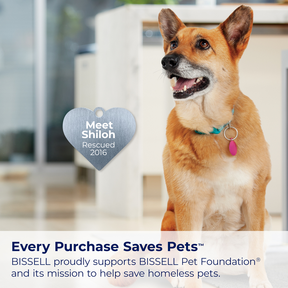 bissell pet foundation vacuum