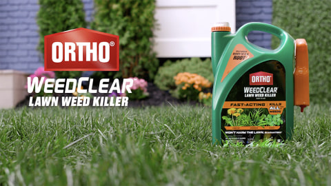 thumbnail video image 2 of Ortho WeedClear Lawn Weed Killer Ready-To-Use with Trigger Sprayer, 1 gal., 2 of 11