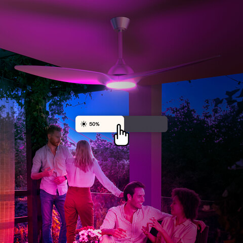 Dimmable control of ceiling fan light during a backyard party