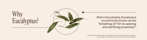 Why Eucalyptus? Rich in Eucalyptol, Eucalyptus is commonly known as the “breathing oil” for its opening and clarifying properties.*  *This statement hasn’t been evaluated by the Food and Drug Administration. This product is not used to treat, cure or prevent any disease.