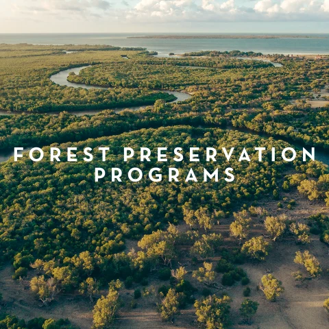 FOREST PRESERVATION PROGRAMS 