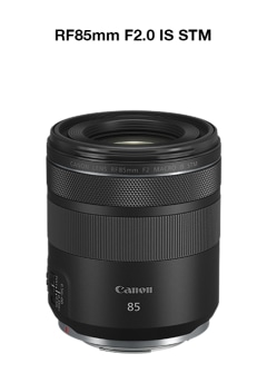 Canon RF 50mm F1.8 STM - Royal Photo