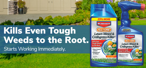 Bayer Advanced All In One 32 Fl Oz Concentrated Lawn Weed Killer In The Weed Killers Department At Lowes Com