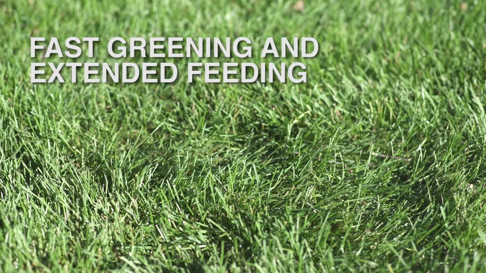 thumbnail video image 2 of Scotts Turf Builder UltraFeed, 20.20 lb., 2 of 9