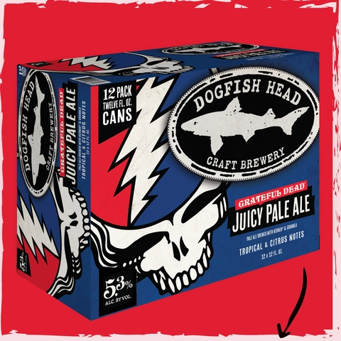 Dogfish Head Tropical Squall - 19.2 FZ - acmemarkets