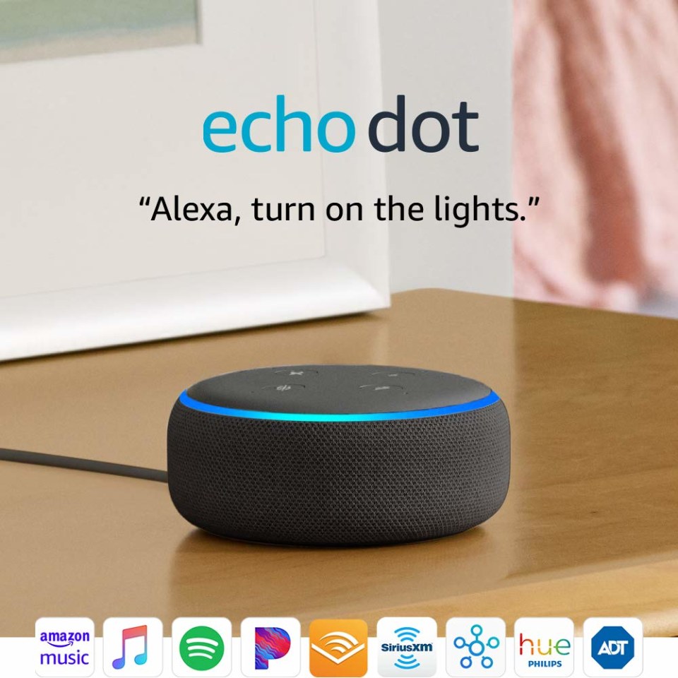 echo dot and xbox one