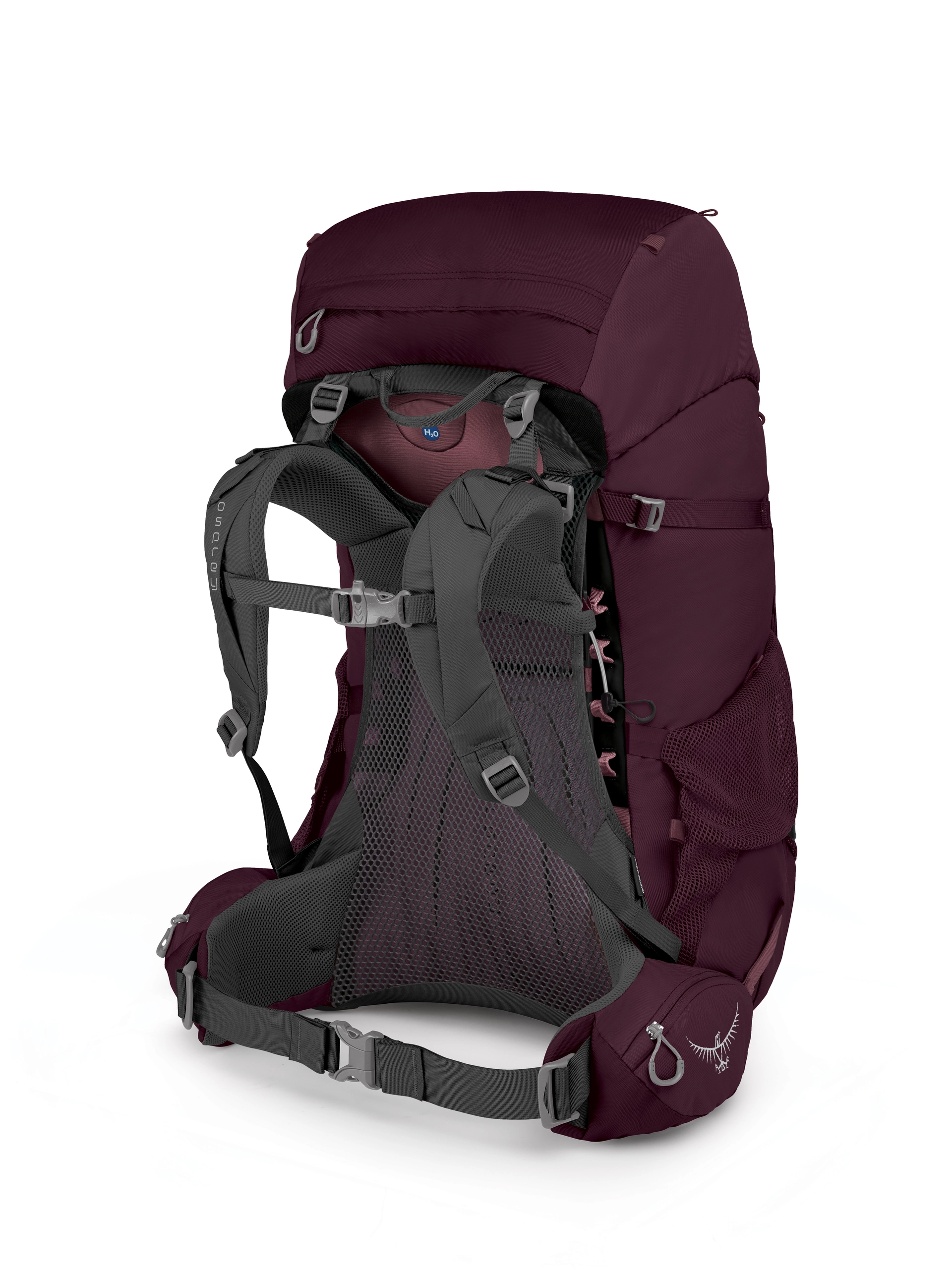amazon north face backpack laptop The Women's Jester Everyday Backpack, Blk-NPF, OSFA Colour:Blush Herschel Dawson Small Backpack shoulder-bag