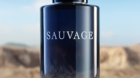 DIOR Sauvage Eau de Toilette | Bloomingdale's