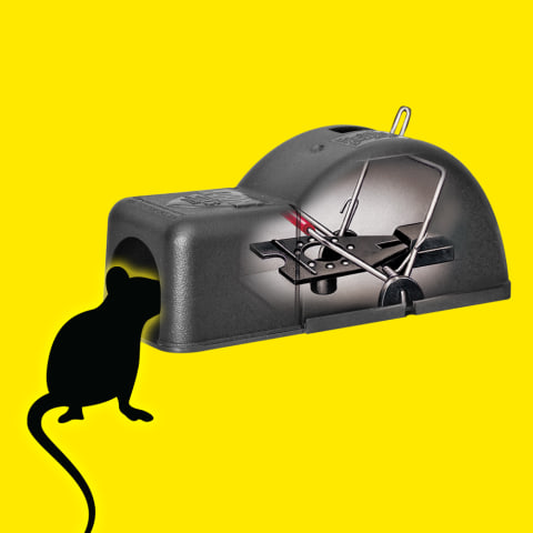 d-CON Reusable Covered Mouse Snap Trap, 1 Trap 