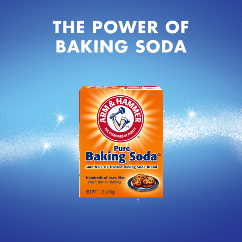  Arm & Hammer Pure Baking Soda (15 lbs.) : Grocery & Gourmet  Food