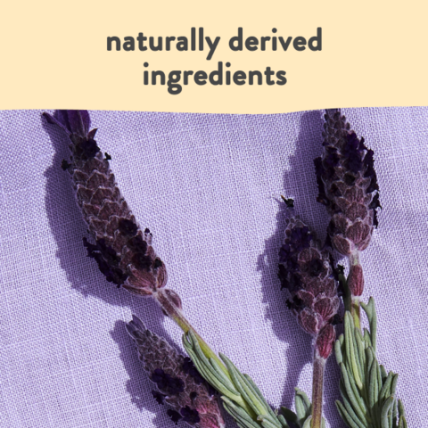 Naturally Derived Ingredients