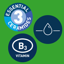 Hyaluronic Acid, Niacinamide, and Ceramides