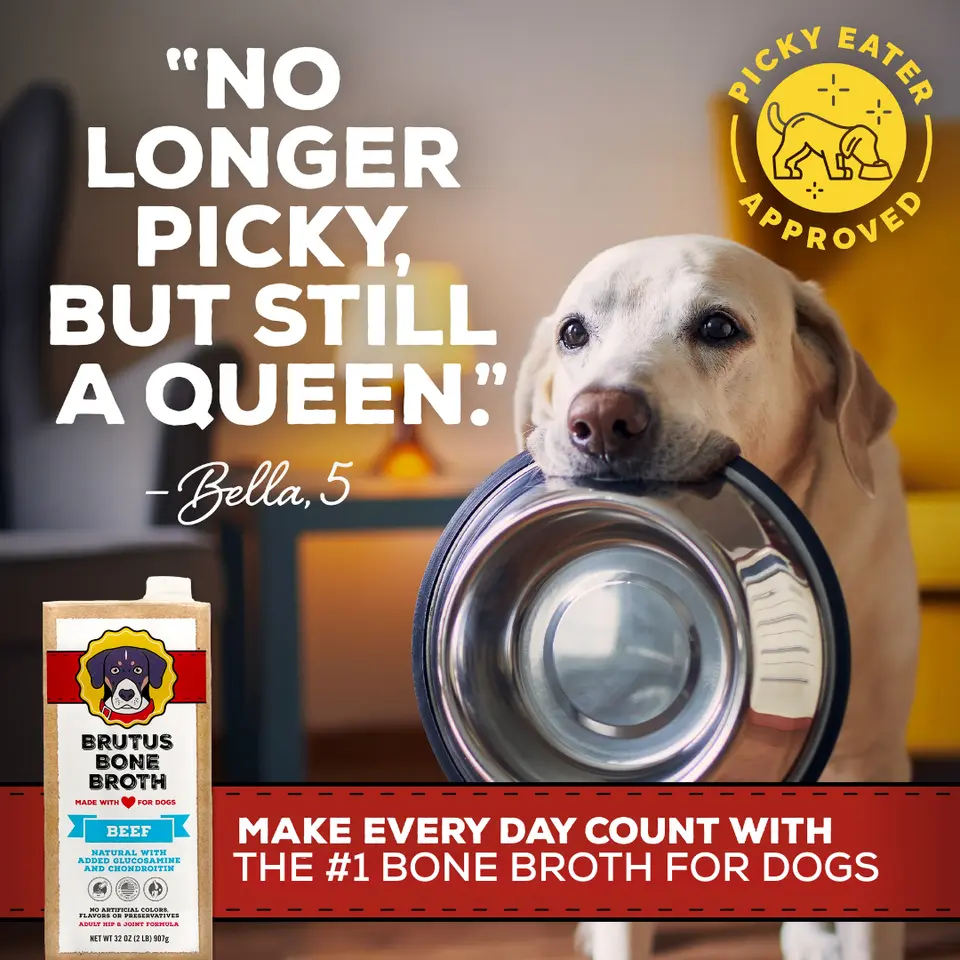 Brutus Bone Broth Chicken For Dogs - 32 OZ - safeway