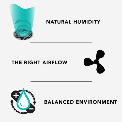 Graphic with text that reads "natural humidity, the right airflow, balanced environment"