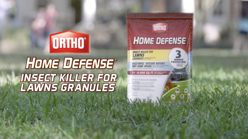 Ortho Home Defense Insect Killer for Lawns Granules