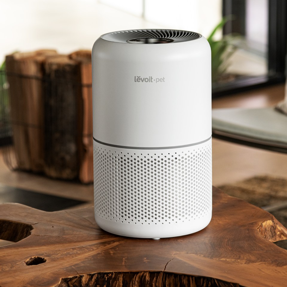 Levoit air purifier lowes Clearance