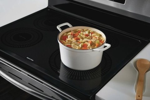 frigidaire gallery fgif3036tf range