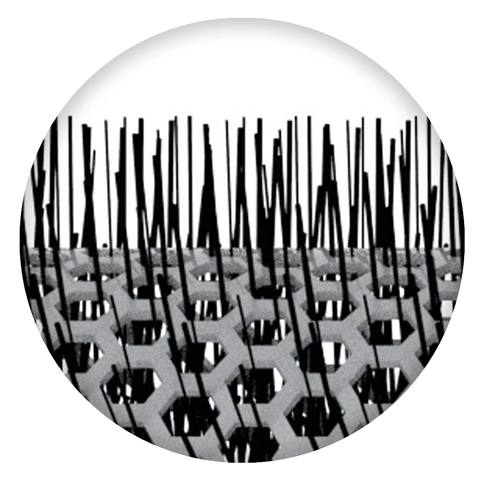 Ion Charged Bristles