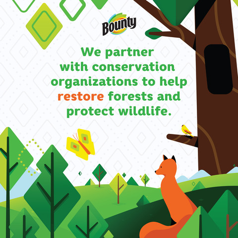 We are partnering with conservation organizations to help restore forests and protect wildlife.