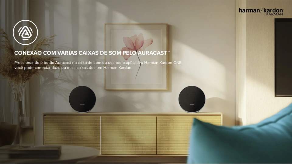 Caixa de Som Harman Kardon Portátil Onyx Studio 9 50W Preta - Info