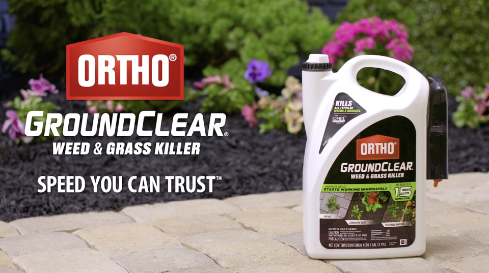 thumbnail video image 2 of Ortho GroundClear Weed and Grass Killer, Kills Moss and More, OMRI Listed, 1 gal., 2 of 13