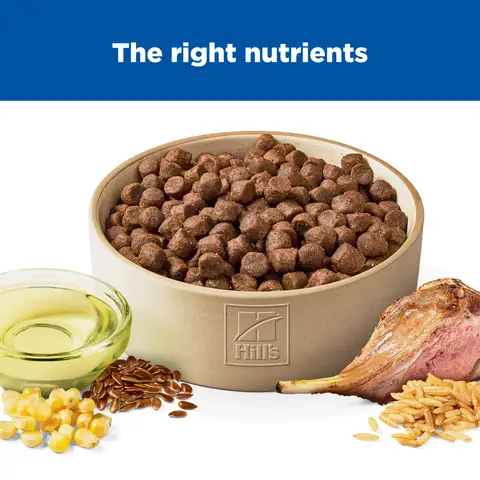 Hill's® Science Diet® Adult Dry Dog Food - Lamb & Brown Rice