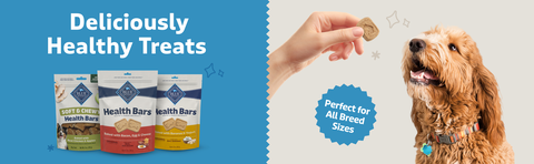 Blue Buffalo Health Bars Dog Treats