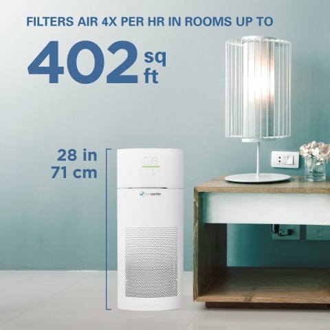 Large Room Air Purifying System