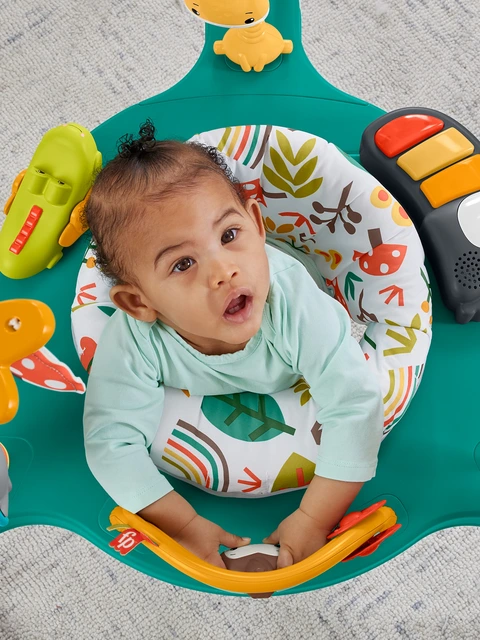 Fisher-Price Infant Bouncer, Whimsical Forest Jumperoo