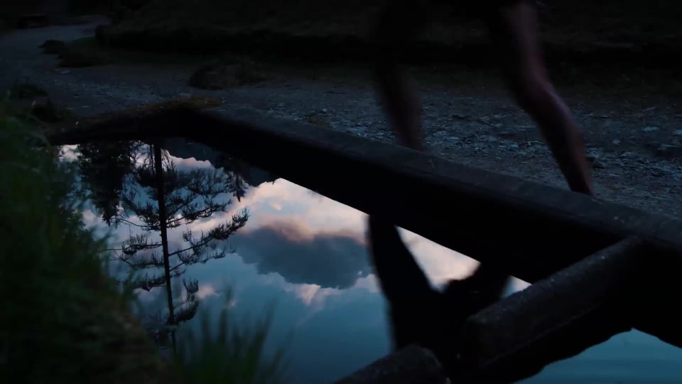 thumbnail video image 2 of Jaybird Tarah Pro - Earphones with mic - in-ear - Bluetooth - wireless - noise isolating - black, flash, 2 of 4