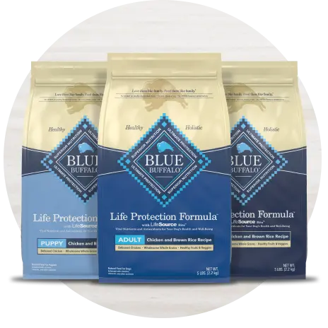 Blue Buffalo Life Protection Formula Dog Food