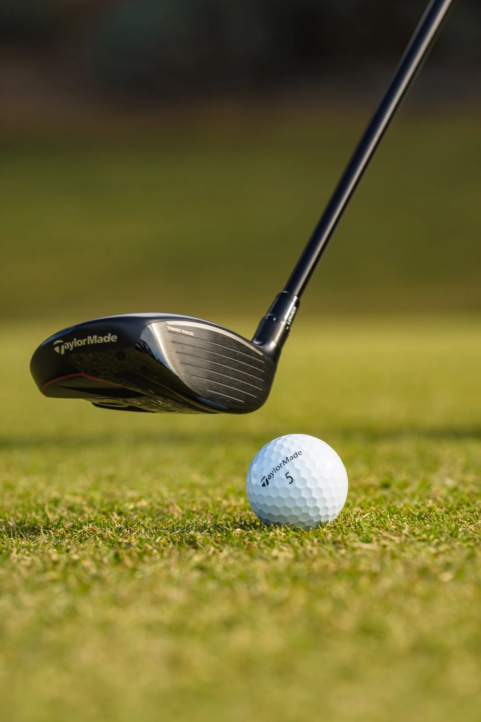 TaylorMade Women's Stealth 2 HD Fairway Wood | Dick's