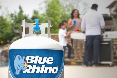 Blue Rhino Propane Exchange Walmart