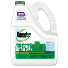 Roundup For Lawns 1 Gallon Ready To Use Lawn Weed Killer In The Weed Killers Department At Lowes Com