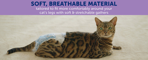 Hartz Disposable Cat Diapers with Secure Comfortable Fit for Leak Protection on Male Female Cats XS Walmart