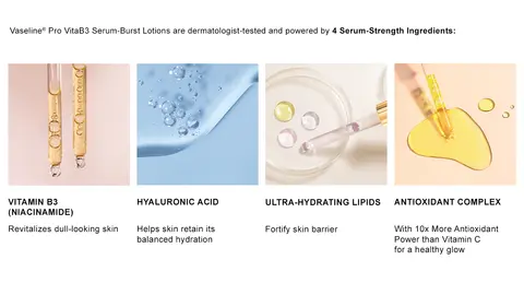 ProVita ingredients including B3, hyaluronic acid, lipids