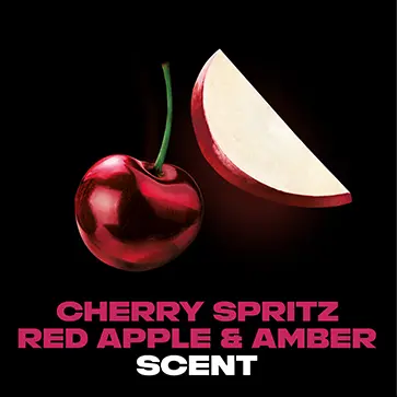 AXE AFTERS スパークリングフルーツ 9本セット AXE Deodorant Stick Fine Fragrance Cherry 3 OZ