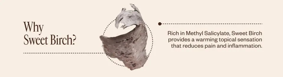 Why Sweet Birch? Rich in Methyl Salicylate, Sweet Birch provides a warming topical sensation that reduces pain and inflammation.