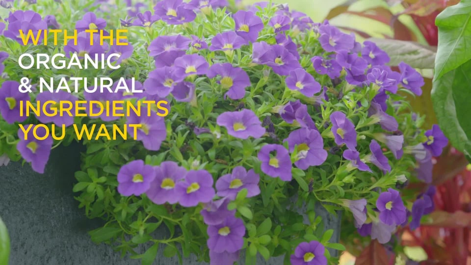 thumbnail video image 2 of Miracle-Gro Performance Soil Organics All Purpose Container Mix, 6 Quart, 2 of 4