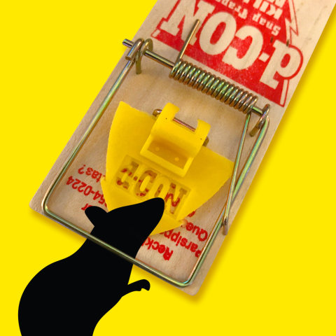 d-CON® Wooden Mouse Snap Trap