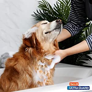 Hartz UltraGuard Pro Triple Action Dog Shampoo, 18 Oz - 3270011069