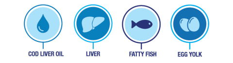 Cod Liver Oil, Liver, Fatty Fish, Egg Yolk