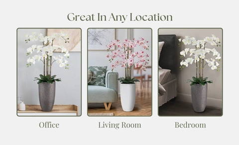 Great in Any Location Graphic